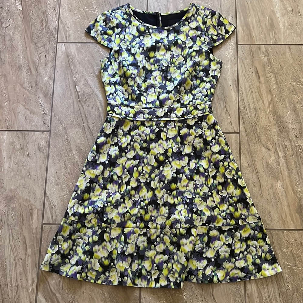 J. Crew Dress